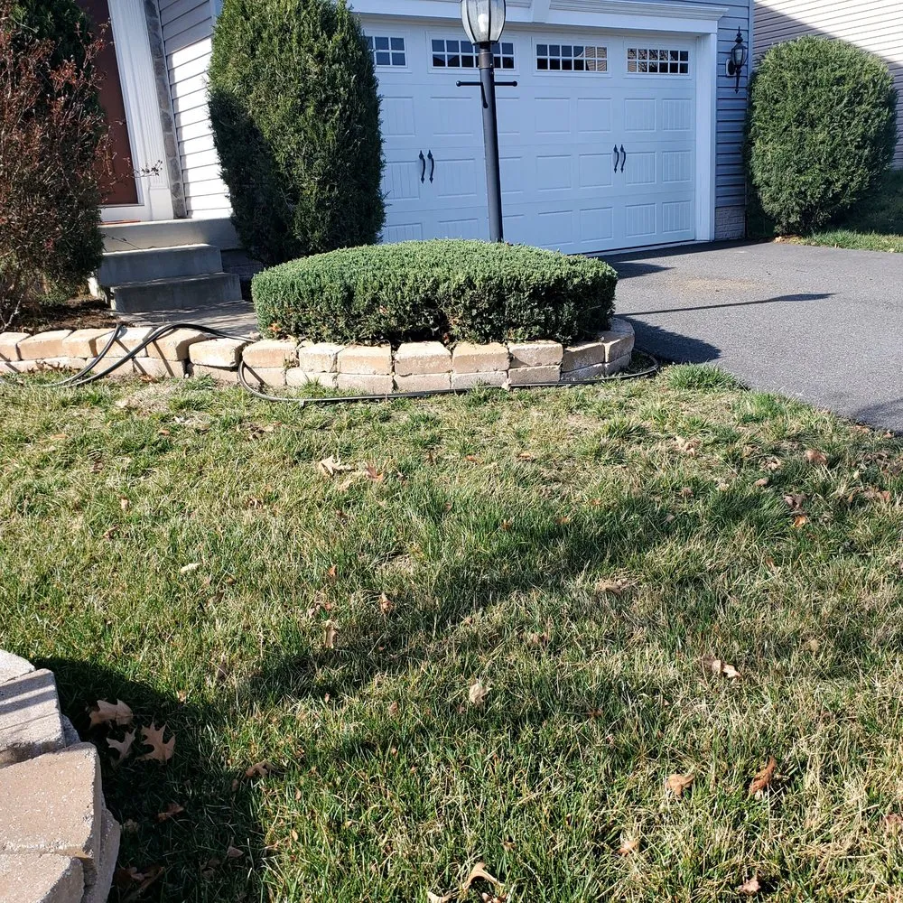 Reliable landscaping services experts serving Fredericksburg, VA - Bnb Lawn Care