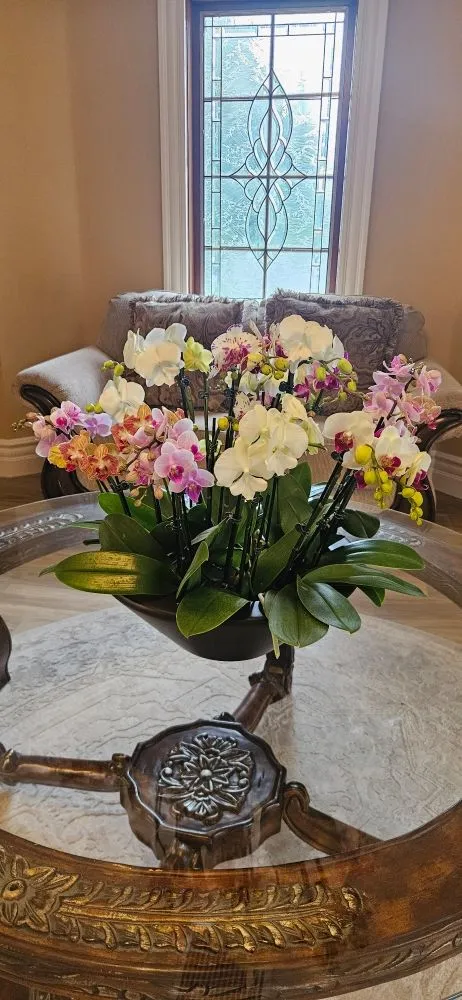 Professional yard cleanup service experts serving Fallbrook, CA - BnB So.Cal