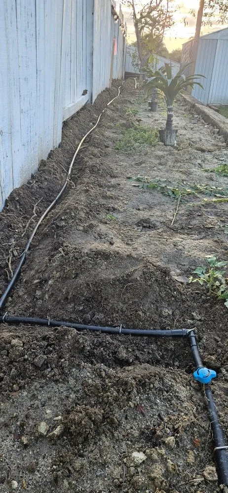 Professional garden landscaping in Fallbrook, CA - BnB So.Cal