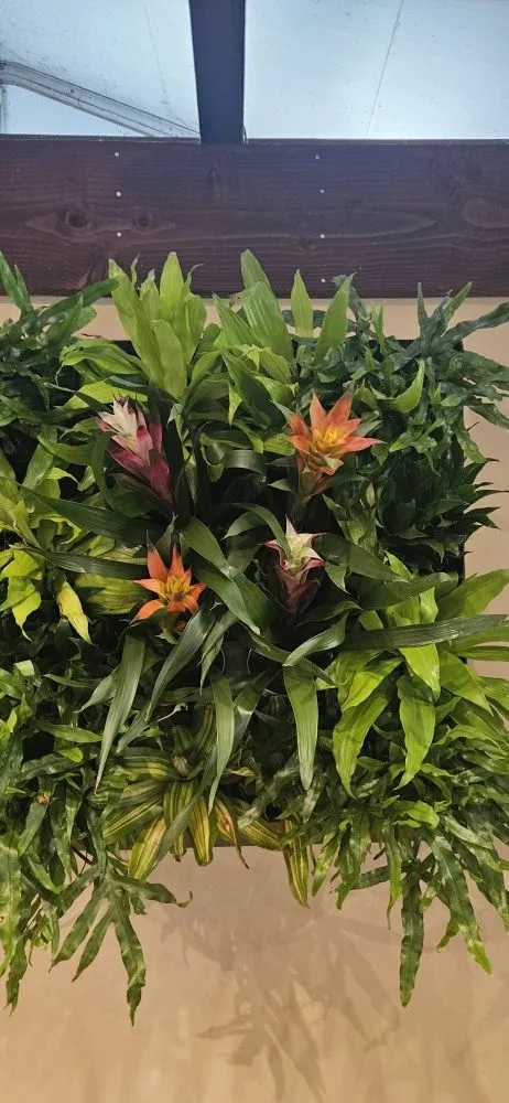 Affordable outdoor landscaping for outdoor upgrades across Fallbrook, CA - BnB So.Cal