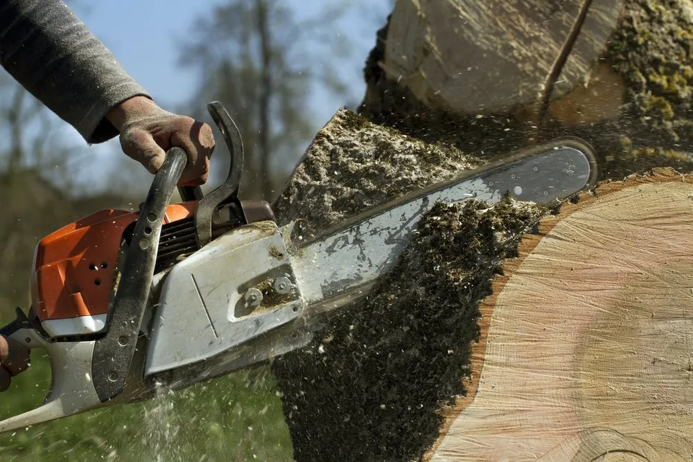 Affordable yard maintenance in Fisher, WV - BnB Tree and Landscaping