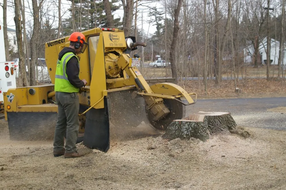 Professional residential landscaping in Fisher, WV - BnB Tree and Landscaping