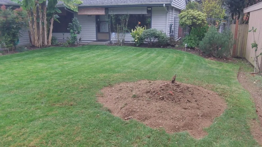 Top-rated landscape installation with custom design across Fisher, WV - BnB Tree and Landscaping