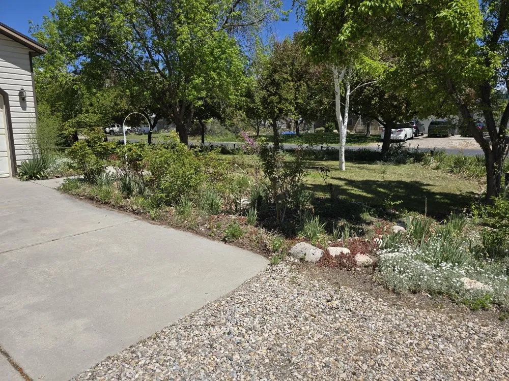 Affordable lawn care service in Roy, UT - BNC Junk Removal and Property Maintenance