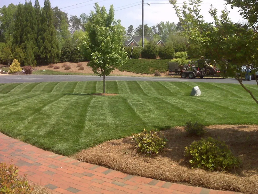 Affordable yard maintenance in Greensboro, NC by BNC Lawn Care