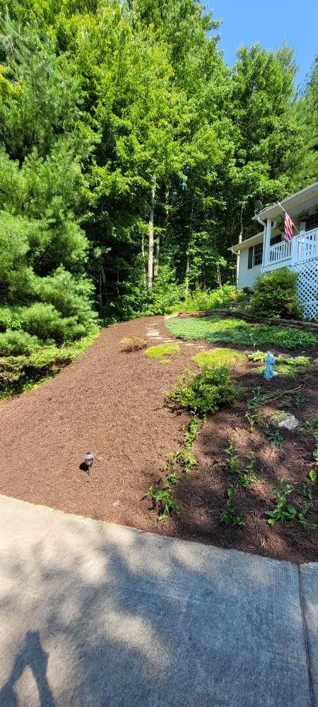 Expert yard cleanup service for residential properties across Flat Rock, NC - BnD Lawn Care