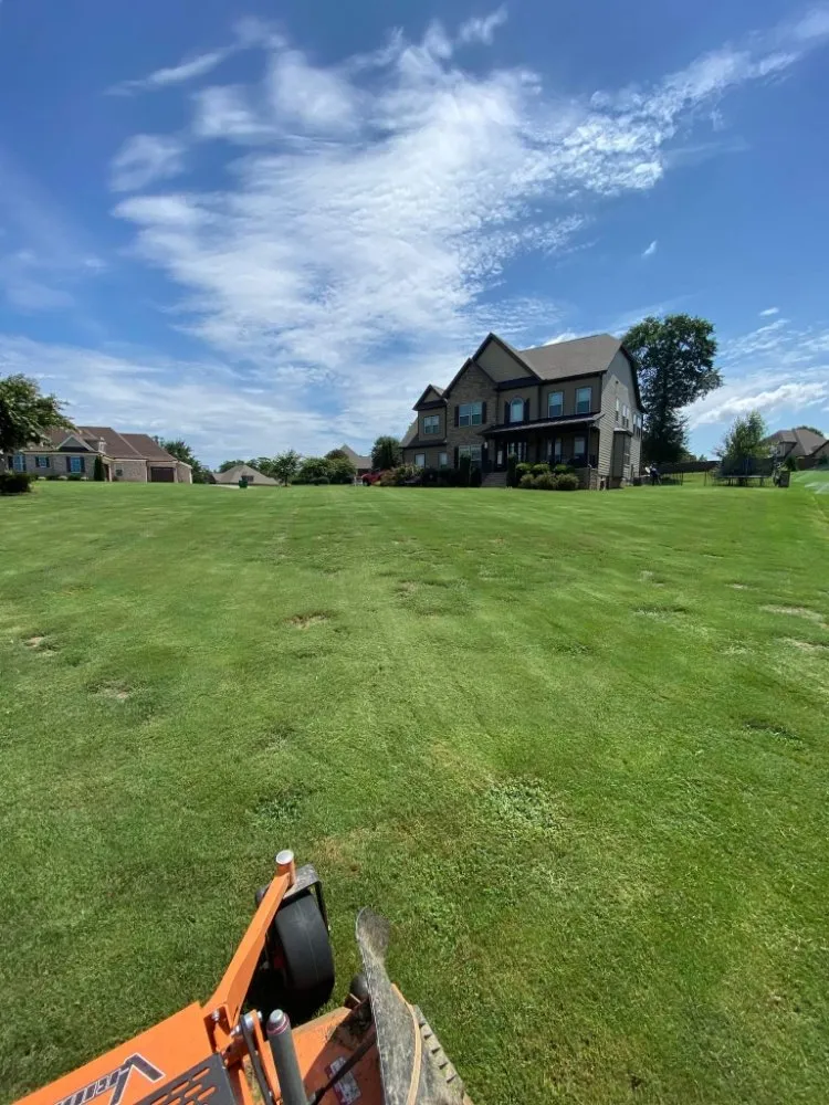 Reliable yard cleanup service experts serving Flat Rock, NC - BnD Lawn Care