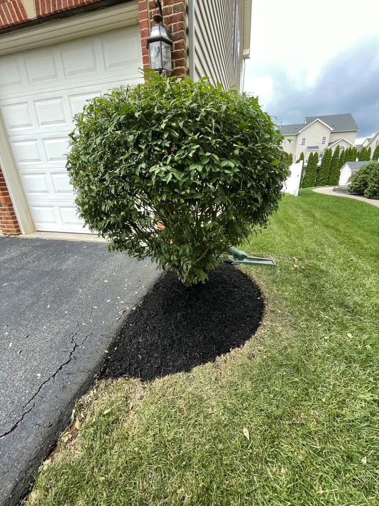 Affordable landscape design experts serving Kingsville, MD - BND Outdoors