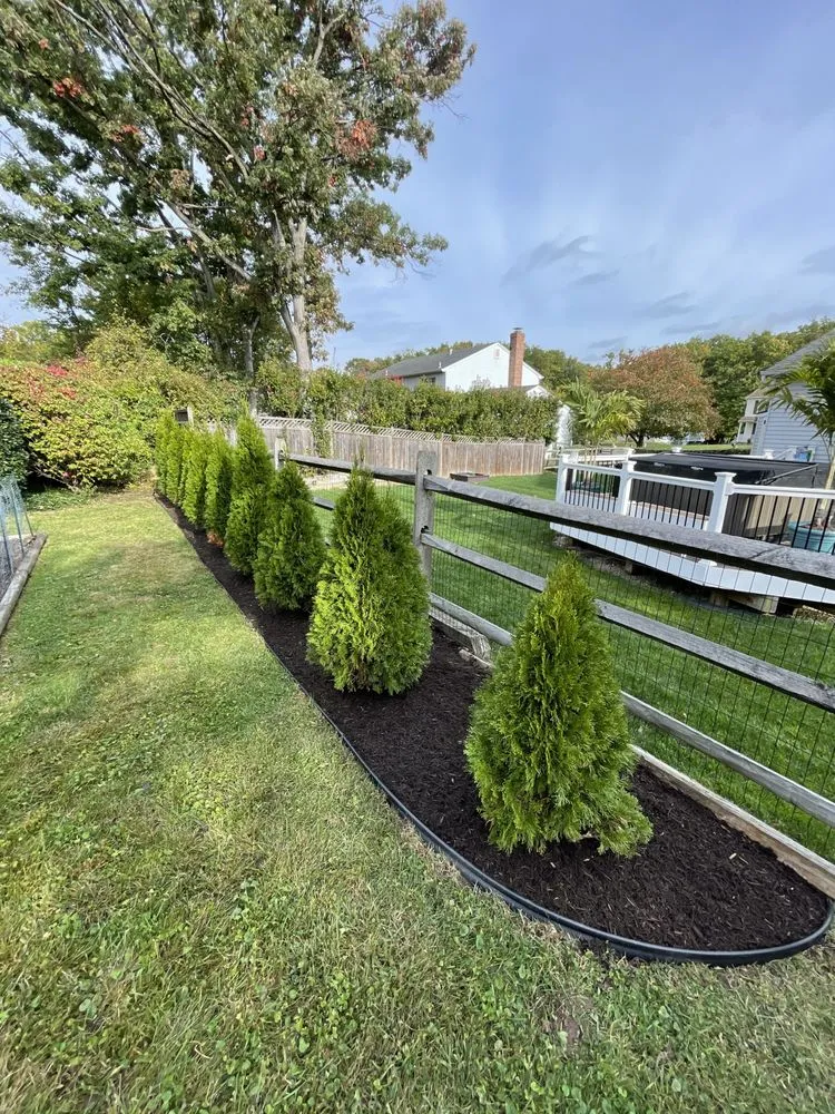 Reliable yard cleanup service experts serving Kingsville, MD - BND Outdoors