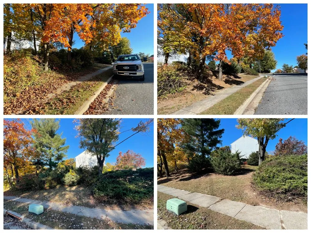 Affordable lawn care service in Kingsville, MD - BND Outdoors