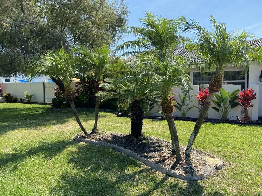 Professional garden landscaping for outdoor upgrades in Seminole, FL by BNE Property Services