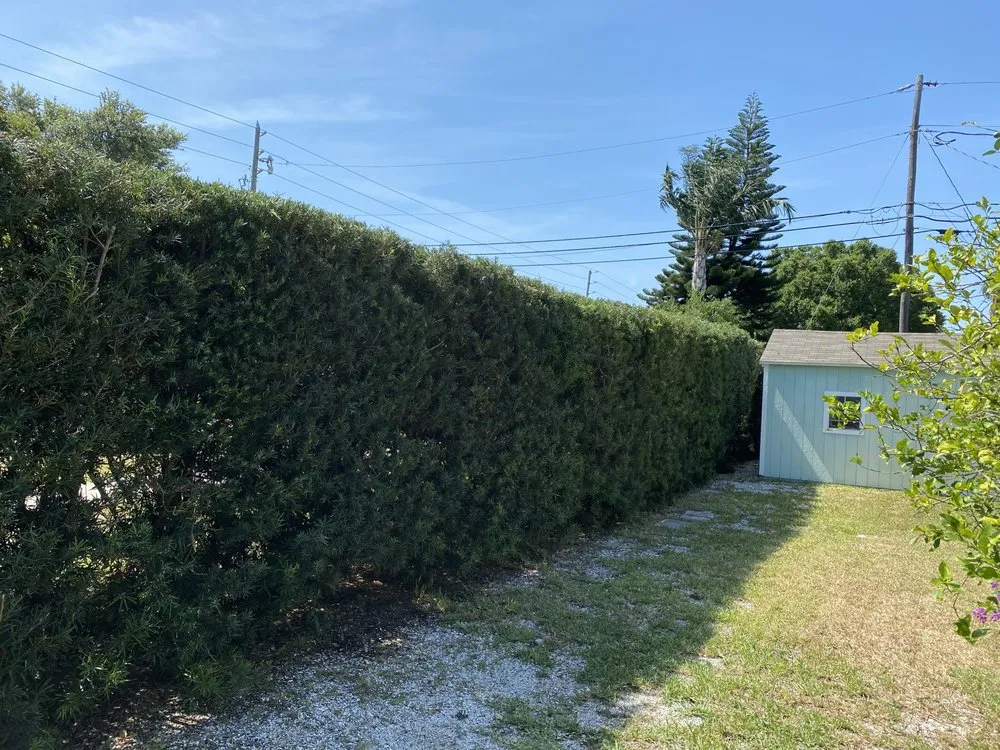 Affordable yard cleanup service in Seminole, FL - BNE Property Services