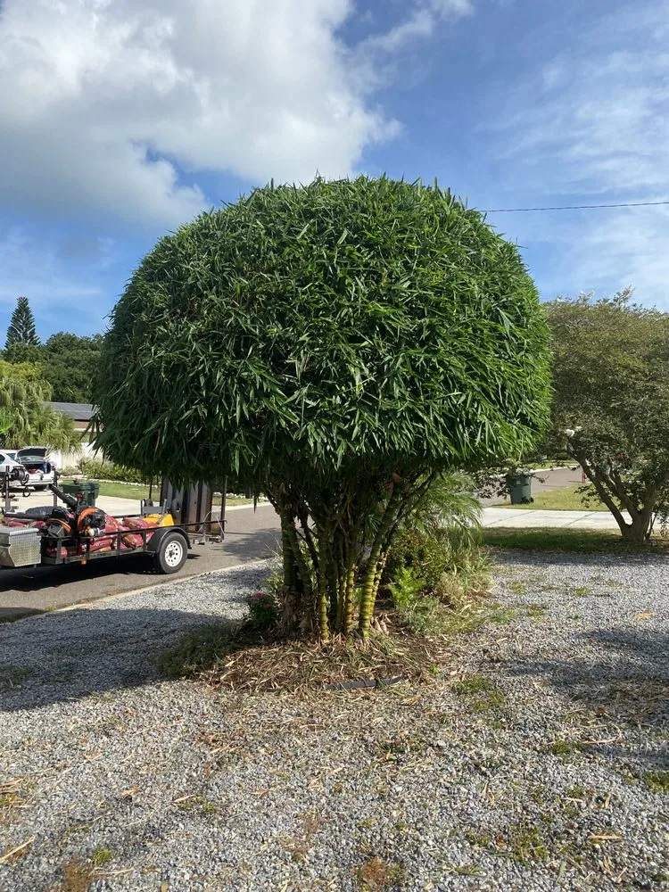 Trusted landscape installation experts serving Seminole, FL - BNE Property Services