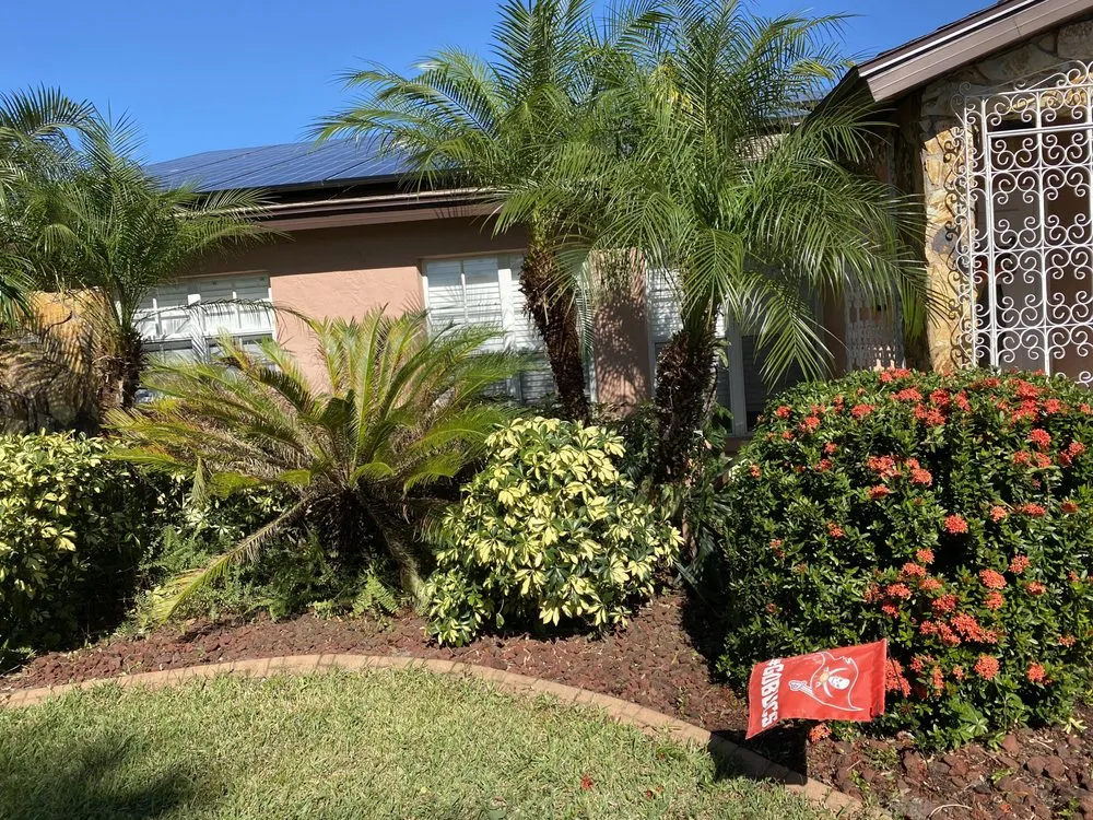 Expert residential landscaping in Seminole, FL by BNE Property Services