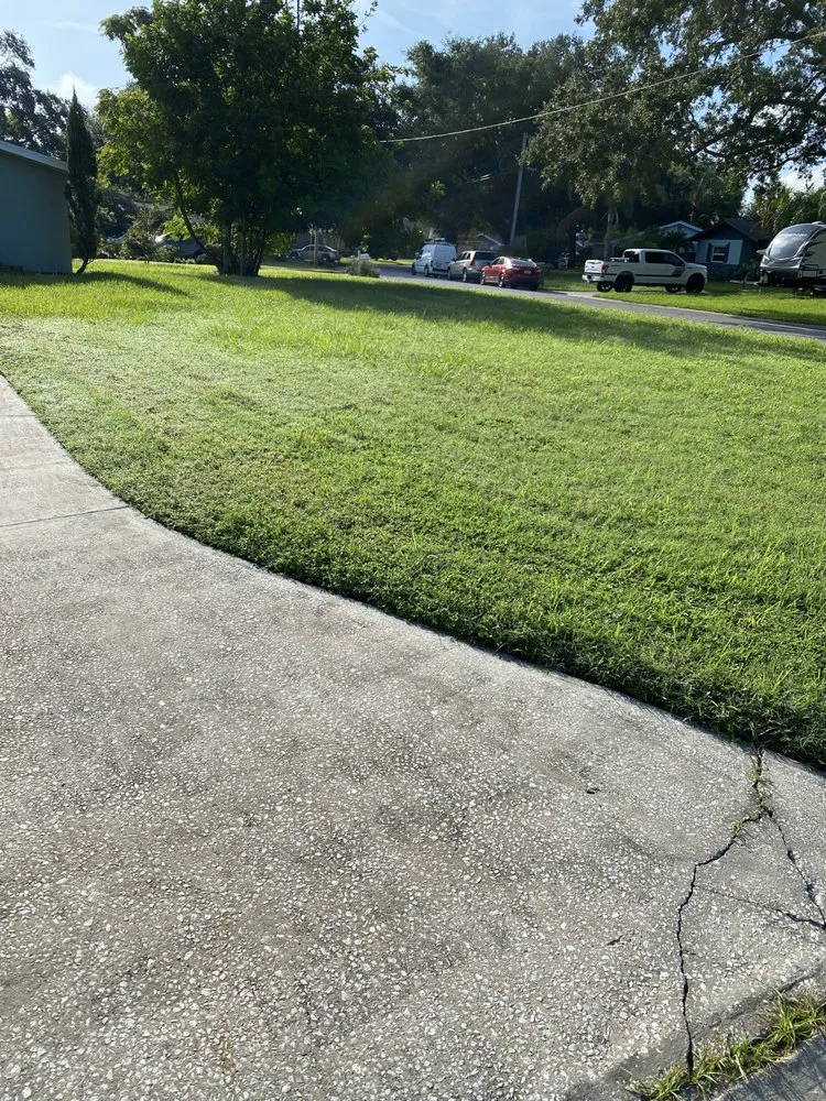 Top-rated landscaping services experts serving Seminole, FL - BNE Property Services