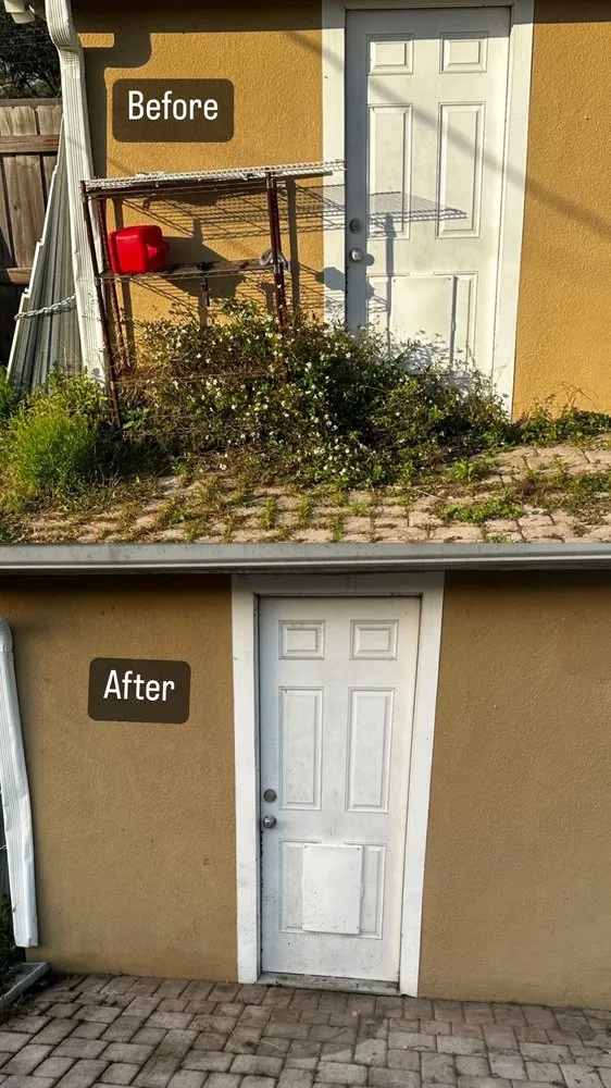 Affordable garden landscaping for outdoor upgrades in Melbourne, FL by BNF Lawn Solutions