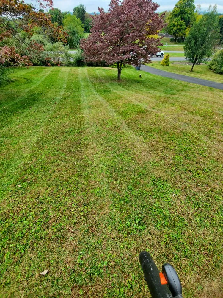 Trusted landscape installation in Stroudsburg, PA by BNG Lawn Care and Landscape