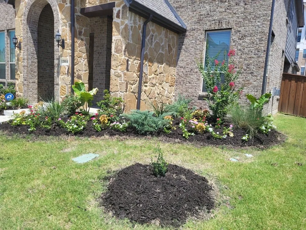 Local outdoor landscaping for year-round maintenance across Santee, CA - BNP Landacape