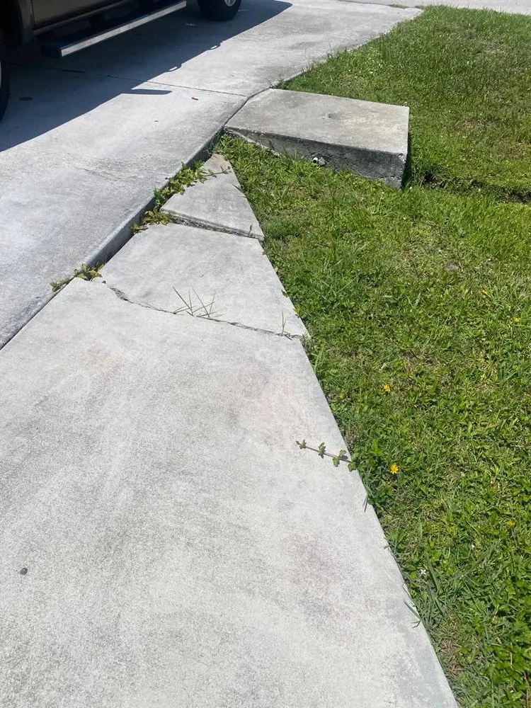 Professional outdoor landscaping in Santee, CA - BNP Landacape