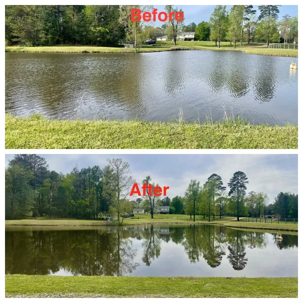 Expert landscape installation for residential properties in Arcadia, LA by BNR Landscaping and Development