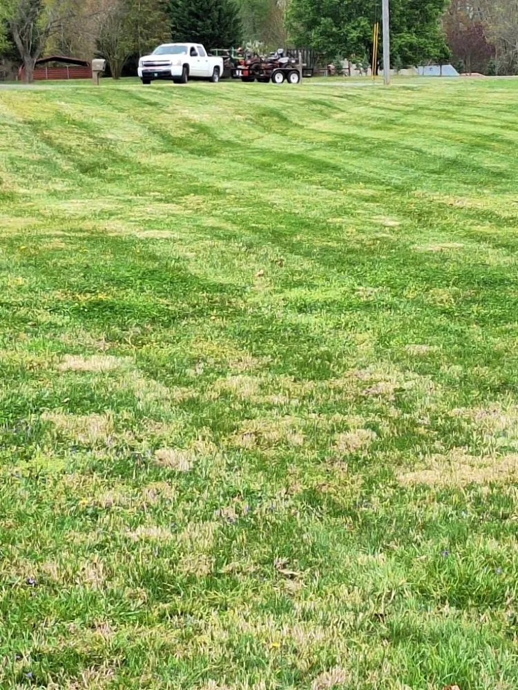 Top-rated outdoor landscaping near you across Mocksville, NC - Bo & Son's Landscaping & Lawn Care