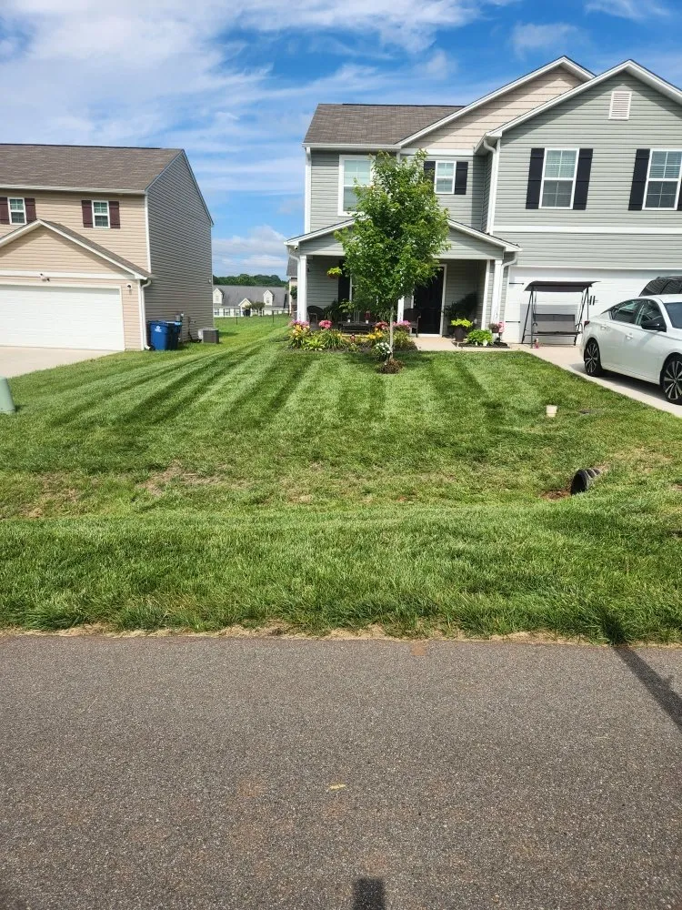 Expert lawn care service for outdoor upgrades in Mocksville, NC by Bo & Son's Landscaping & Lawn Care