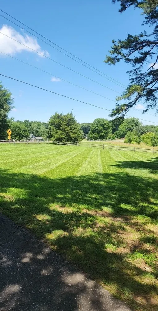 Top-rated lawn care service in Mocksville, NC - Bo & Son's Landscaping & Lawn Care