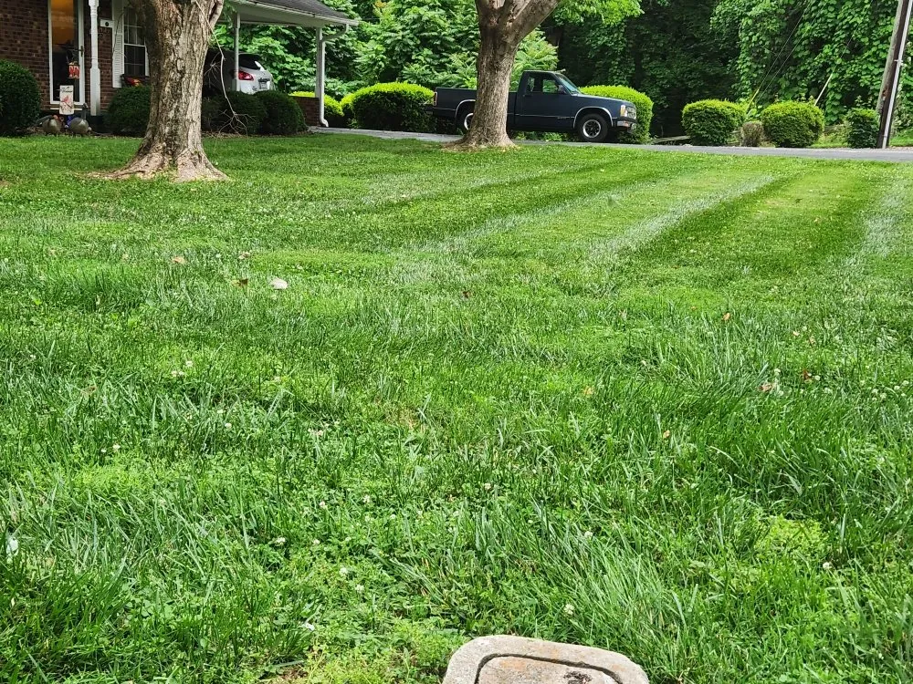 Professional yard cleanup service near you in Mocksville, NC by Bo & Son's Landscaping & Lawn Care