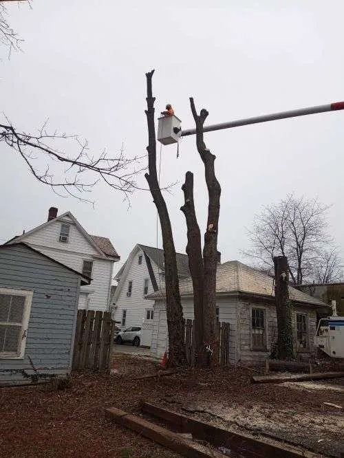 Expert lawn care service near you across Somerset, NJ - B&O Landscaping and Tree Service