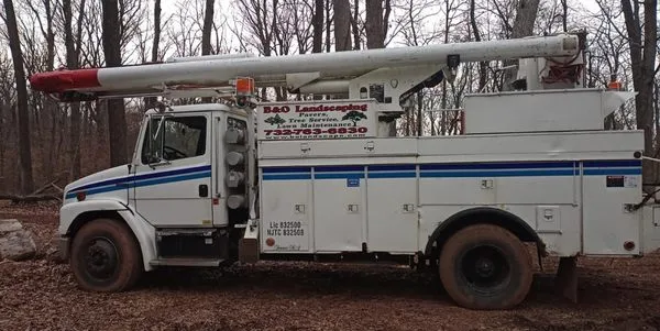 B&O Landscaping and Tree Service Logo