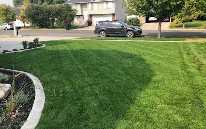 Reliable landscape design experts serving Baraboo, WI - Boak Landscaping Lawn Care & Snow Removal