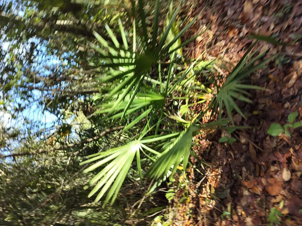 Professional yard maintenance experts serving Stillwater, OK - Boat Man Lawn Care And Management