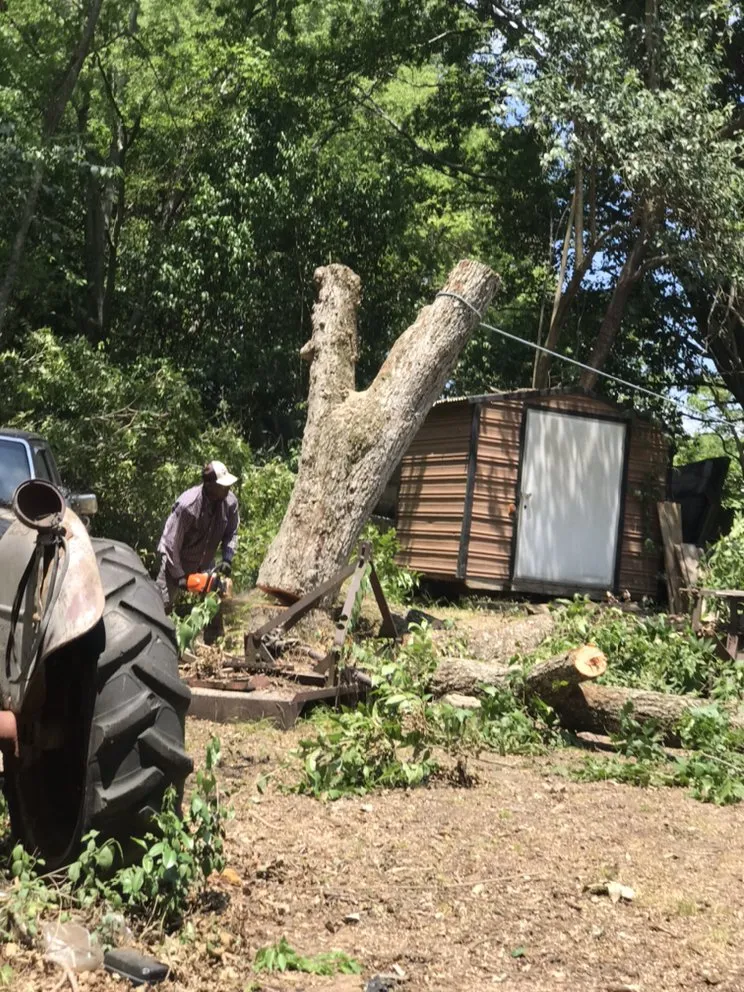 Reliable landscape design in Starkville, MS by Bob & Jay's Cosmetic Landscape