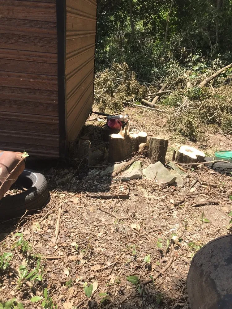 Professional yard maintenance in Starkville, MS - Bob & Jay's Cosmetic Landscape