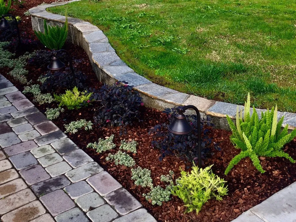 Local yard cleanup service for beautiful yards across Long Beach, CA - Bob & Mimmy's Gardening