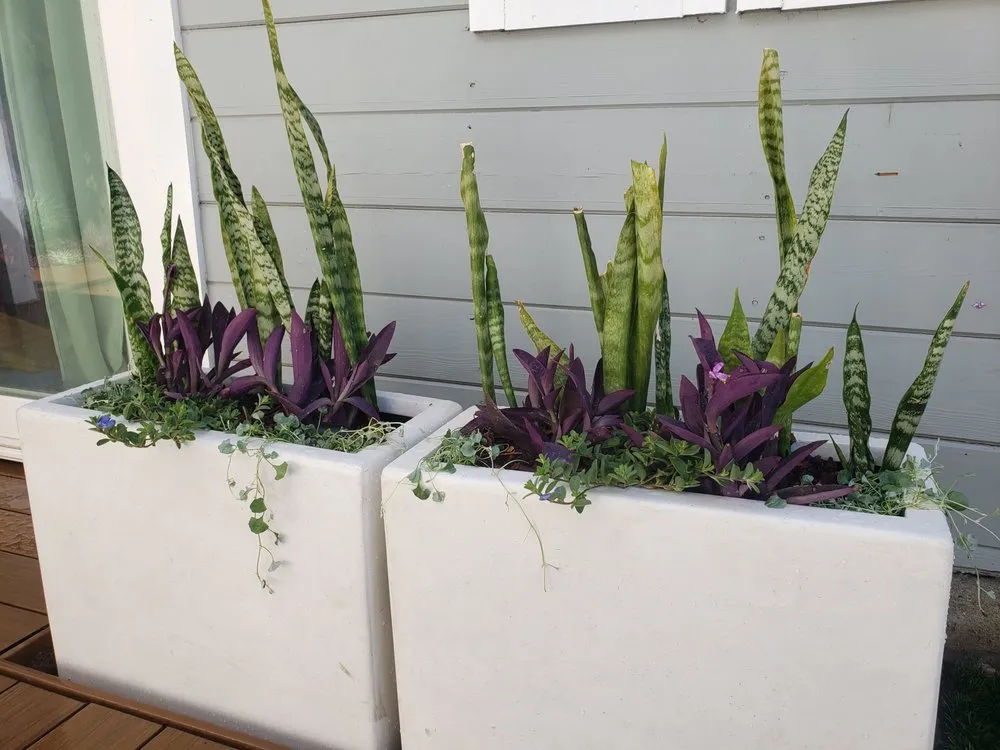 Expert landscaping services experts serving Long Beach, CA - Bob & Mimmy's Gardening