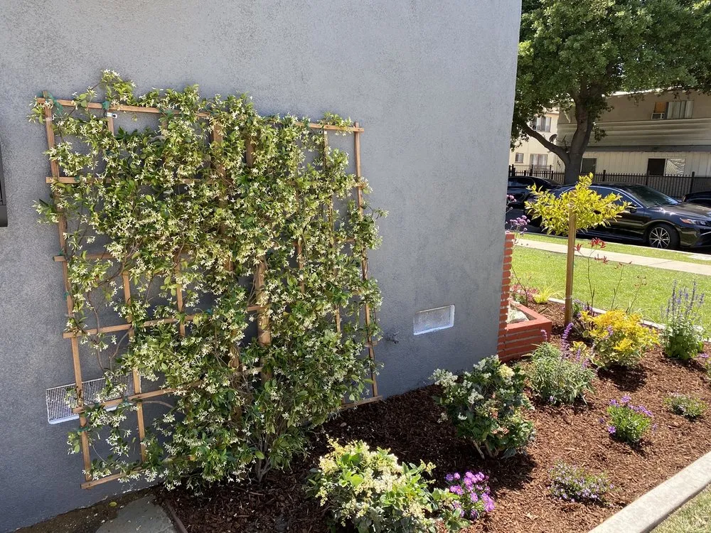 Reliable garden landscaping in Long Beach, CA by Bob & Mimmy's Gardening