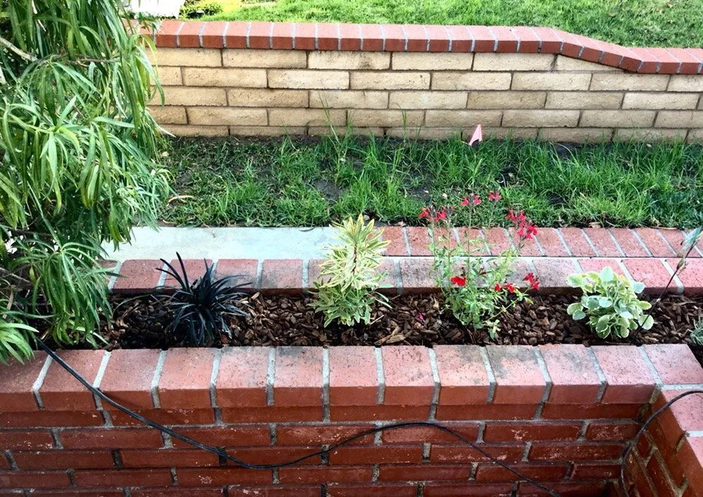 Local landscape design experts serving Long Beach, CA - Bob & Mimmy's Gardening