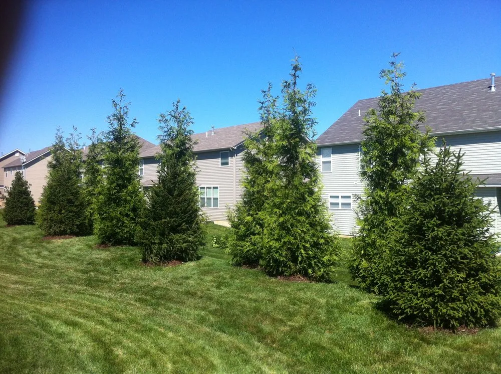 Professional landscape installation in O Fallon, MO by Bob & Paul's Nursery