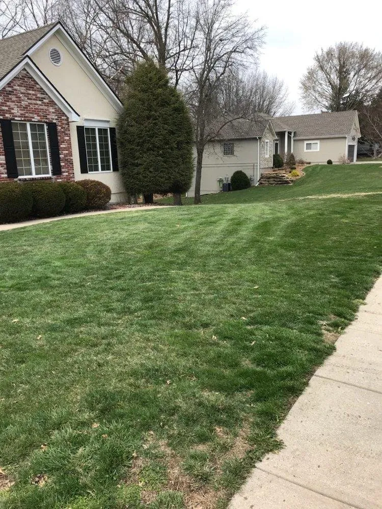Professional landscape design in Buckner, MO - Bob and Sons Lawn Care