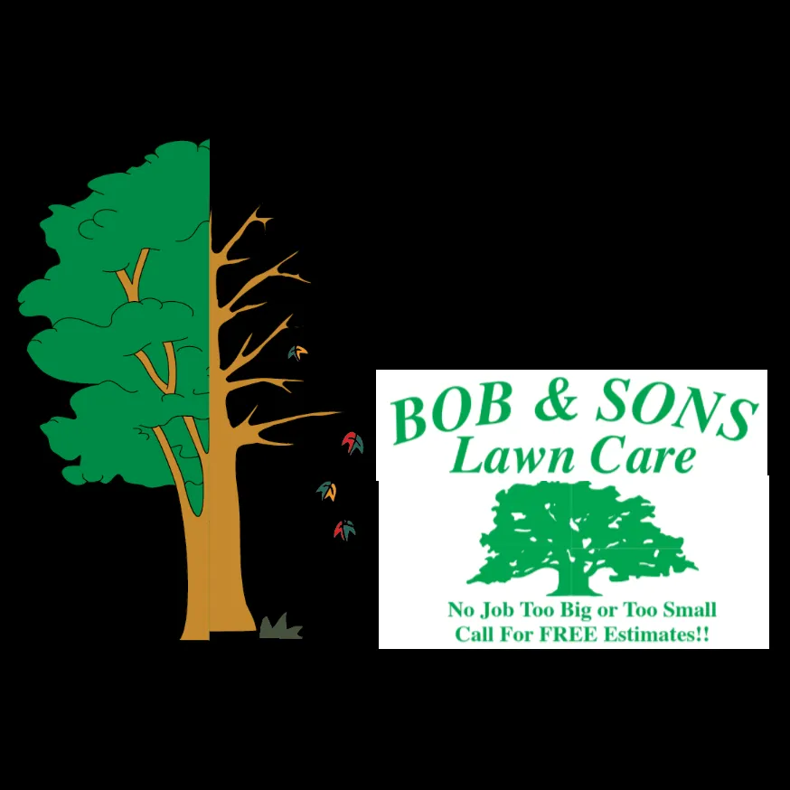 Expert yard cleanup service in Buckner, MO - Bob and Sons Lawn Care
