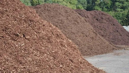 Professional landscape design for year-round maintenance in Saint Charles, IL by Bob Evans Mulch