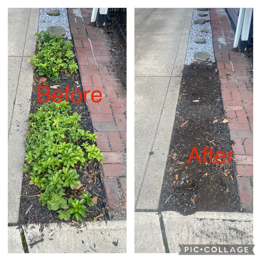 Affordable lawn care service in Cleveland, OH - Bob Kutz