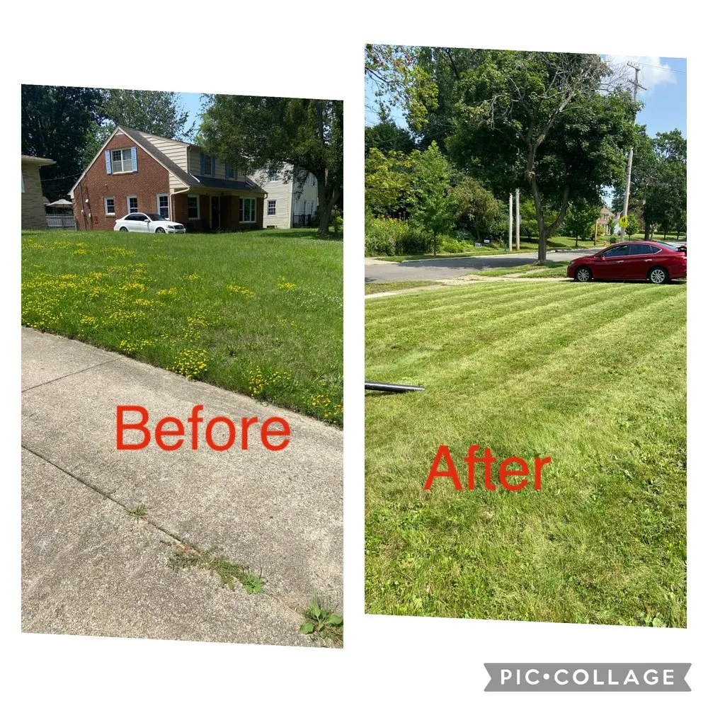Local yard maintenance in Cleveland, OH - Bob Kutz