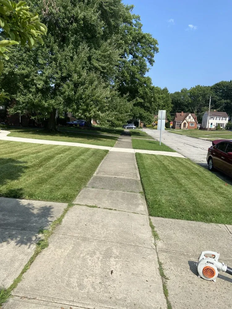 Local landscape installation in Cleveland, OH by Bob Kutz