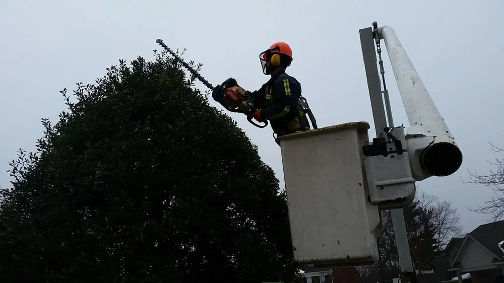 Expert residential landscaping in Louisville, KY - Bob Ray