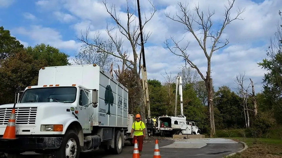 Professional landscape installation in Louisville, KY - Bob Ray