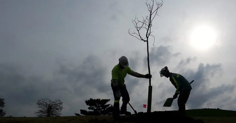Expert lawn mowing service experts serving Louisville, KY - Bob Ray