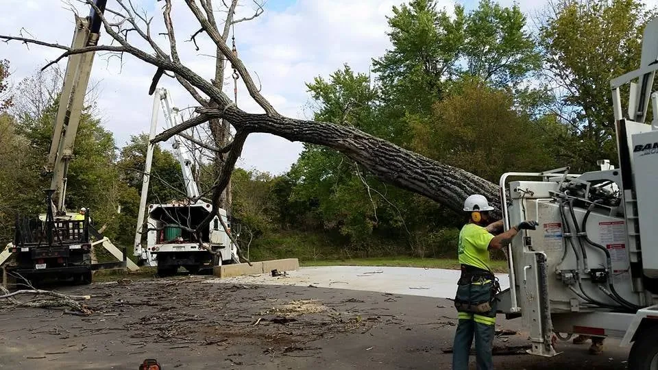 Top-rated landscape design for outdoor upgrades across Louisville, KY - Bob Ray
