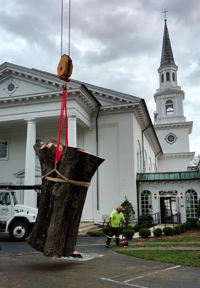Custom lawn mowing service for homes across Louisville, KY - Bob Ray